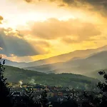 веирас * Welingrad