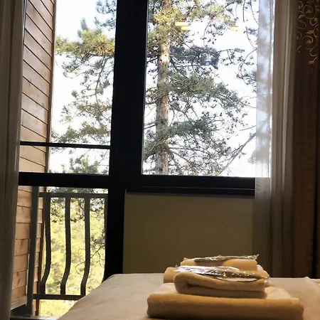 веирас Apartment Velingrad