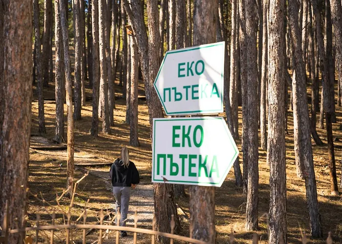 Apartment веирас