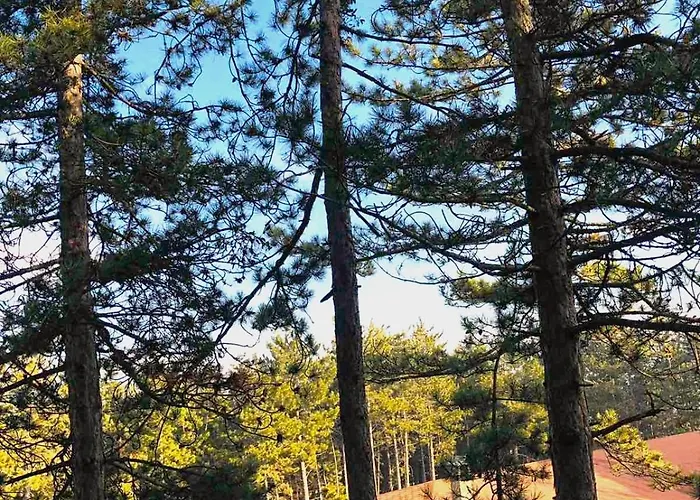 アパート веирас ヴェリングラード